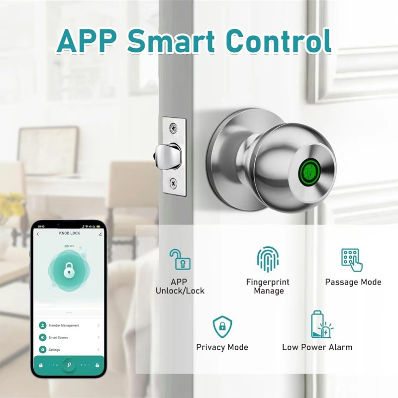 Bluetooth Tuya APP Control Sma - Letter Opener Brass recensione e prezzo