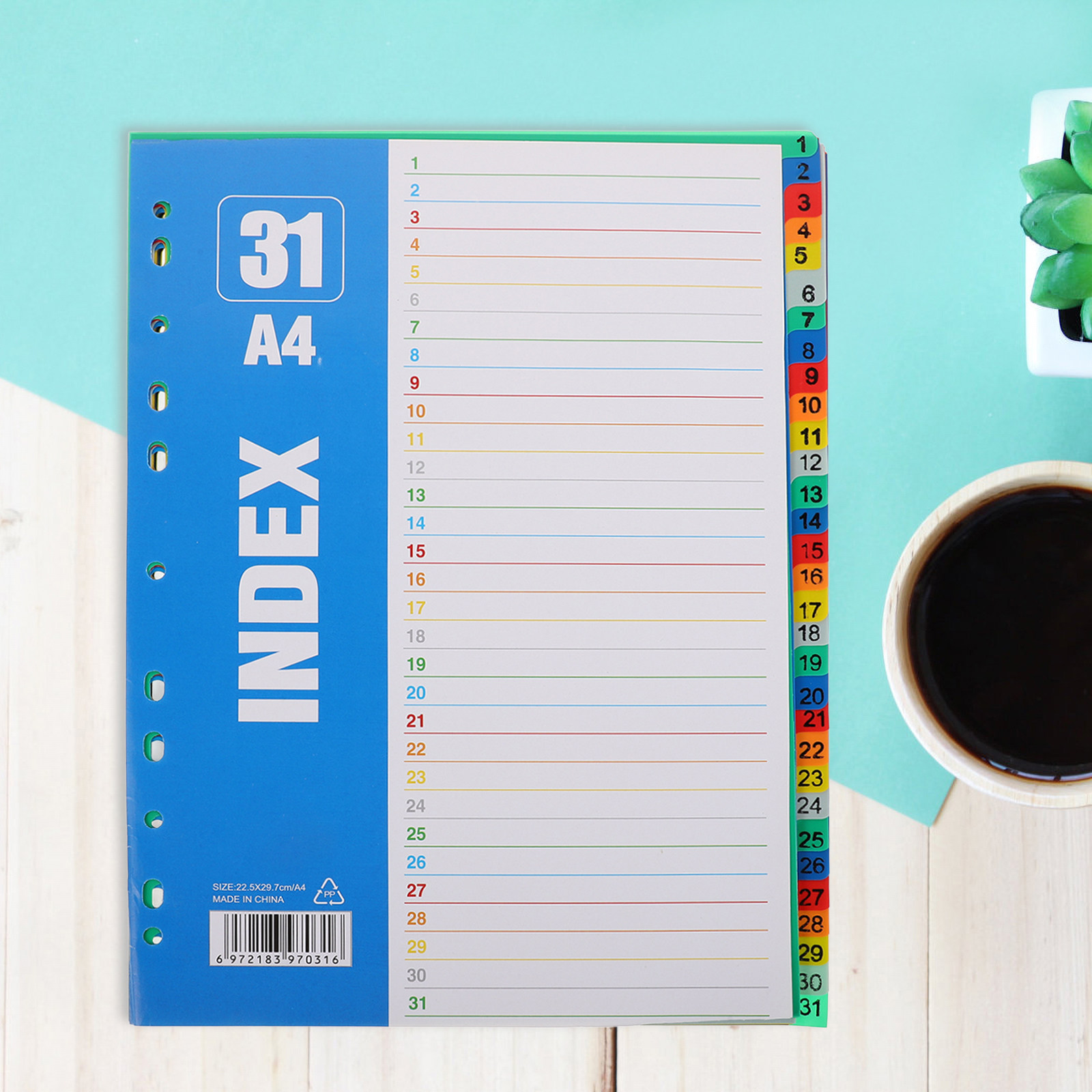 1 set di divisori A4 con 11 fo - Tab Divider A4 recensione e prezzo