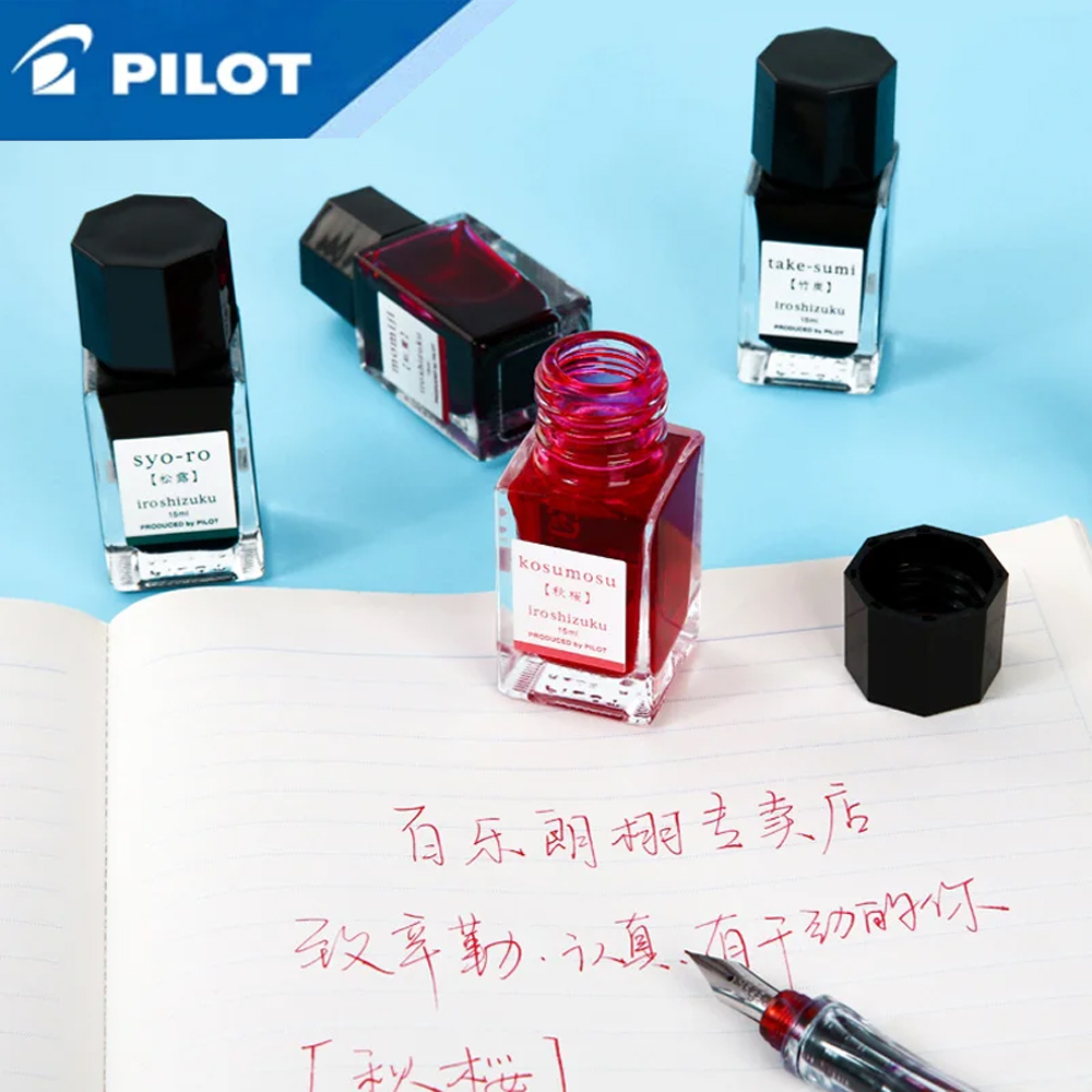 1 Flacone di Inchiostro Japan  - Fountain Pen Bottled Ink recensione e prezzo