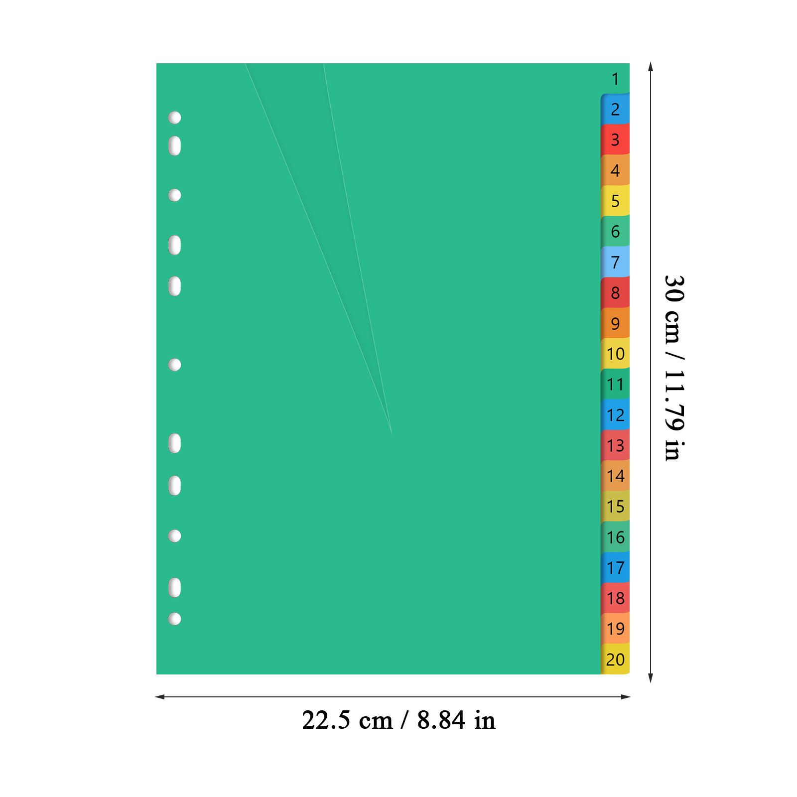 20 Divisori in Plastica Codifi - Tab Divider A4 recensione e prezzo