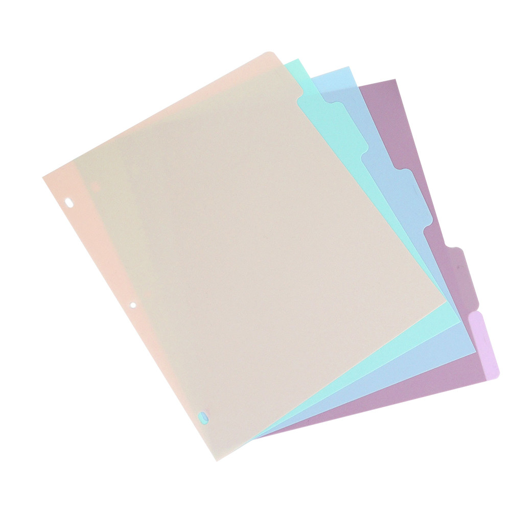 Set di 1 divisori per raccogli - Tab Divider A4 recensione e prezzo