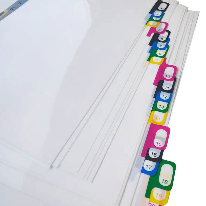 5/10/20 Lenzuola/lotto A4 Divi - Tab Divider A4 recensione e prezzo