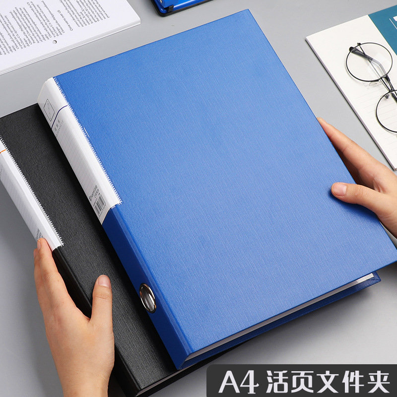 Cartella di File raccoglitore  - Binder A4 Lever recensione e prezzo